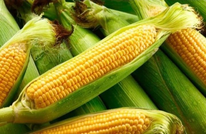 Farmers agriculture