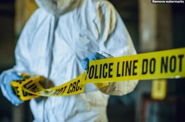 Murder in the Midnight Silence: Triple Killing Shocks Haryana’s Kundli Township